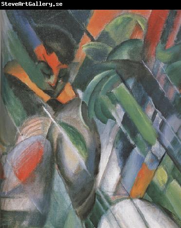 Franz Marc Details of Rain (mk34)